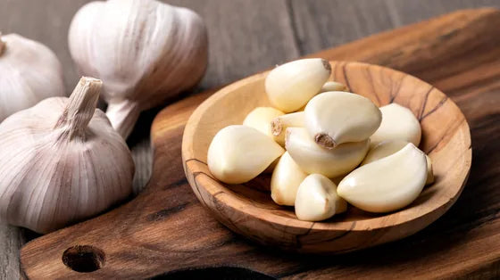 Garlic Extract