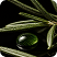 Rosemary Leaf Extract