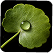 Centella Asiatica