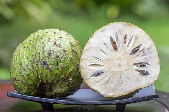 Soursop