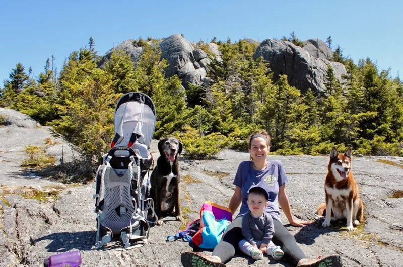 Hiking with dogs in tick country
